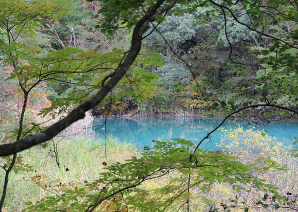 e0024081_1645017.jpg