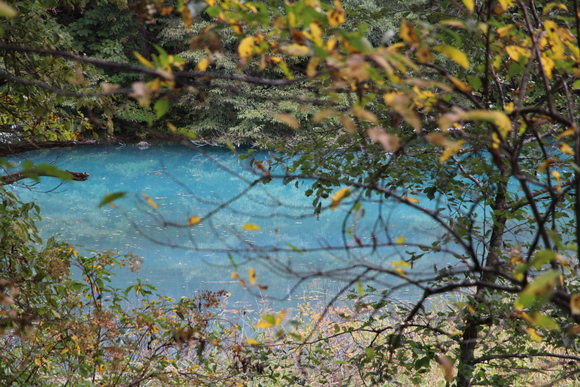 e0024081_1663132.jpg