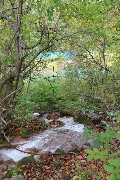 e0024081_166352.jpg