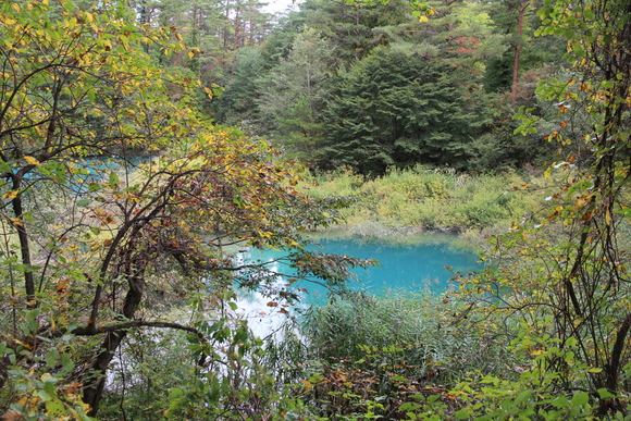 e0024081_167034.jpg