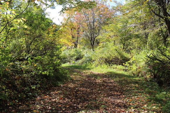 e0024081_1683031.jpg