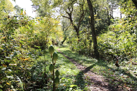 e0024081_1684180.jpg