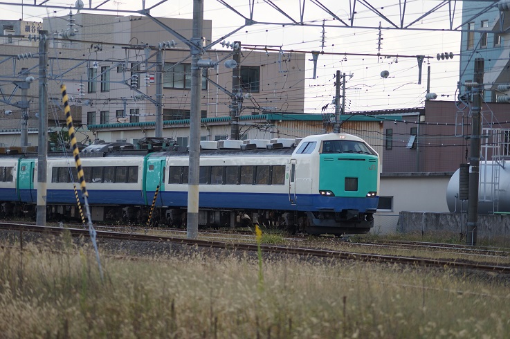 d0129083_19391092.jpg