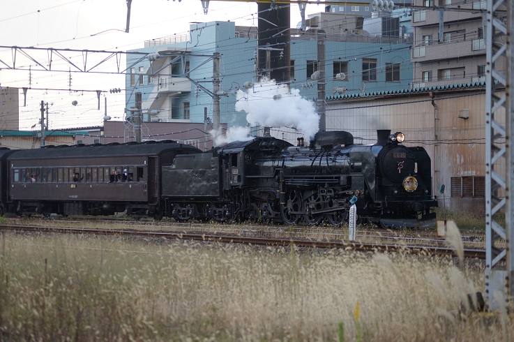 d0129083_1941627.jpg