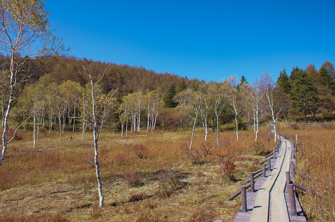 b0078795_2131397.jpg