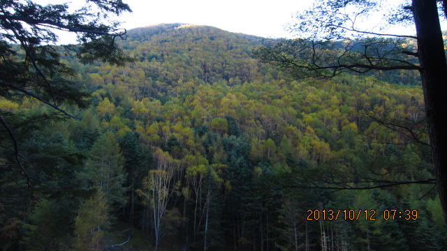 c0133096_187436.jpg