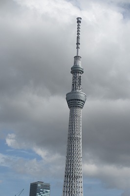 特集スカイツリータワーと東京タワー（バスからの４枚）_a0137997_5572274.jpg