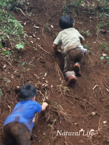 b0162000_16424856.gif