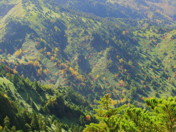 e0269400_830547.jpg