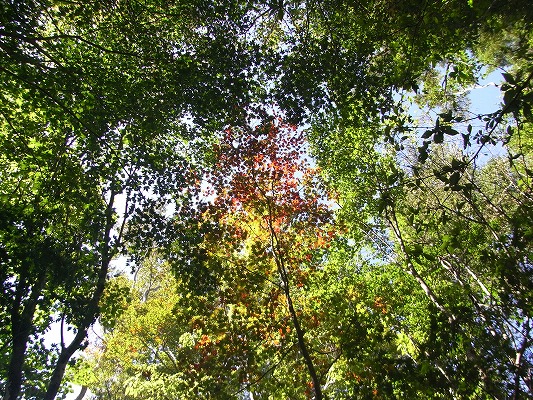 f0187402_211951.jpg