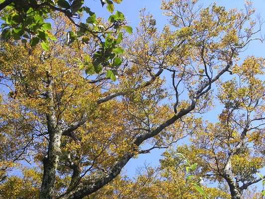 f0187402_213226.jpg