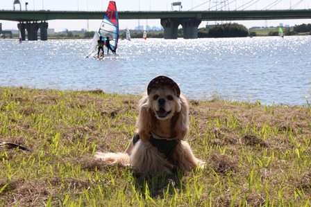c0128303_166416.jpg