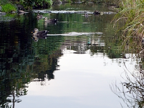 c0187503_21321797.jpg