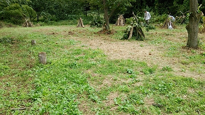 e0270403_0402042.jpg
