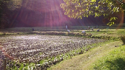 e0270403_0543947.jpg