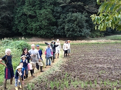 10/12　万松寺谷戸水田　稲刈り援農_e0270403_057856.jpg