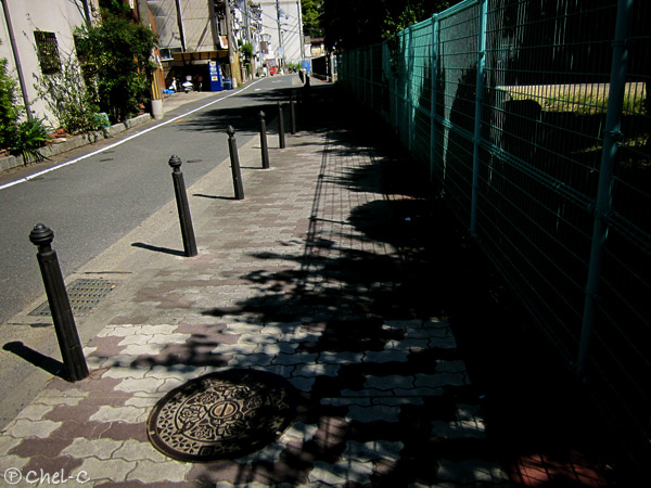 a0154706_7213913.jpg