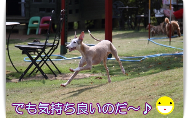 e0100007_16161252.jpg