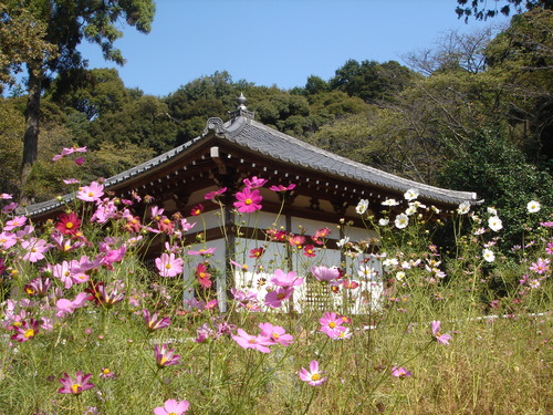 f0276510_2224763.jpg
