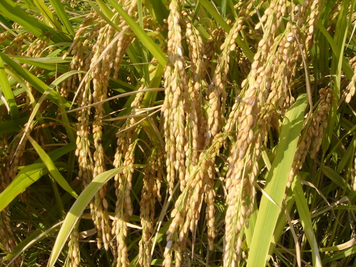 f0276510_22255791.jpg