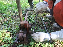 c0173813_8401074.jpg