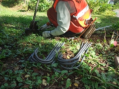 c0173813_8403281.jpg