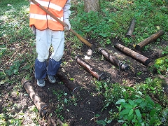 c0173813_8405188.jpg