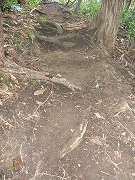 c0173813_842461.jpg