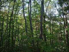 c0173813_8431689.jpg