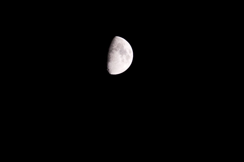 a0278914_354175.jpg