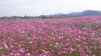 d0162614_15233956.jpg