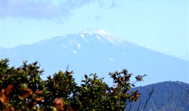 a0127015_221751100.jpg