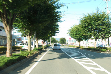 b0259218_2236382.jpg