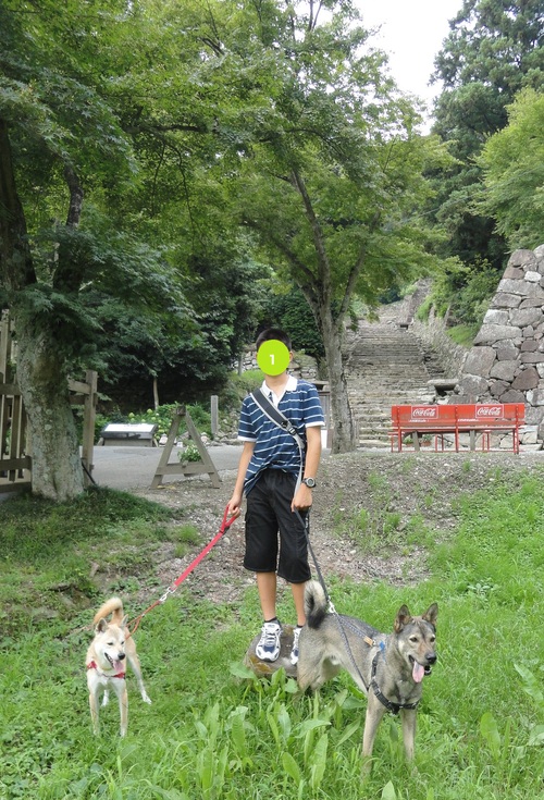 遼とわらびの四国旅行☆その1 さぬきうどん満喫の旅 _b0207320_11292995.jpg