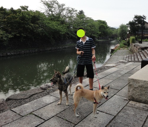 遼とわらびの四国旅行☆その1 さぬきうどん満喫の旅 _b0207320_11314968.jpg