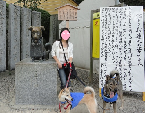 遼とわらびの四国旅行☆その1 さぬきうどん満喫の旅 _b0207320_1243571.jpg