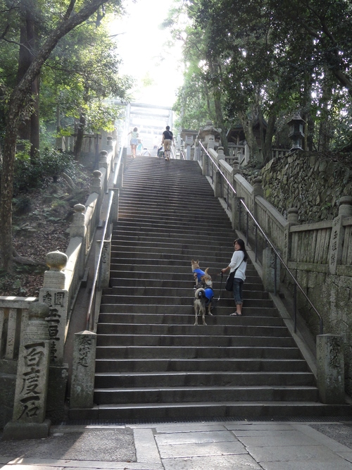 遼とわらびの四国旅行☆その1 さぬきうどん満喫の旅 _b0207320_12445382.jpg