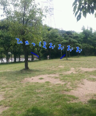 遼とわらびの四国旅行☆その1 さぬきうどん満喫の旅 _b0207320_1334942.jpg