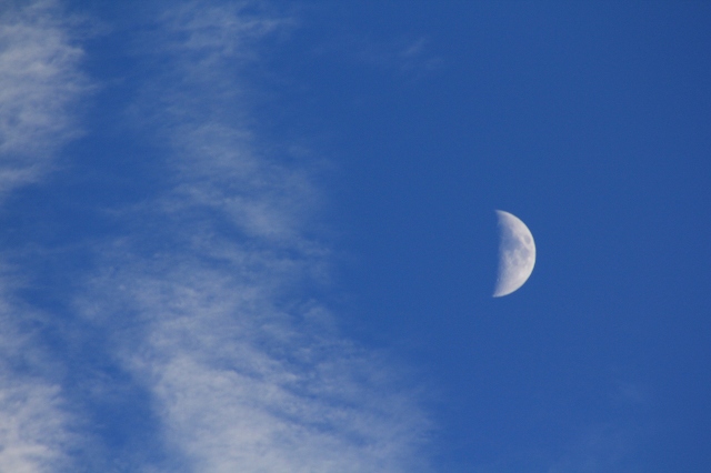 e0242721_16474446.jpg