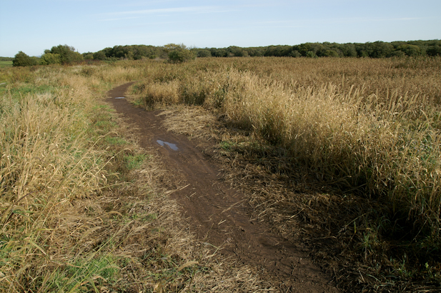 c0209024_18373935.jpg