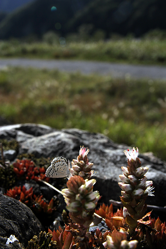 d0054625_23585827.jpg