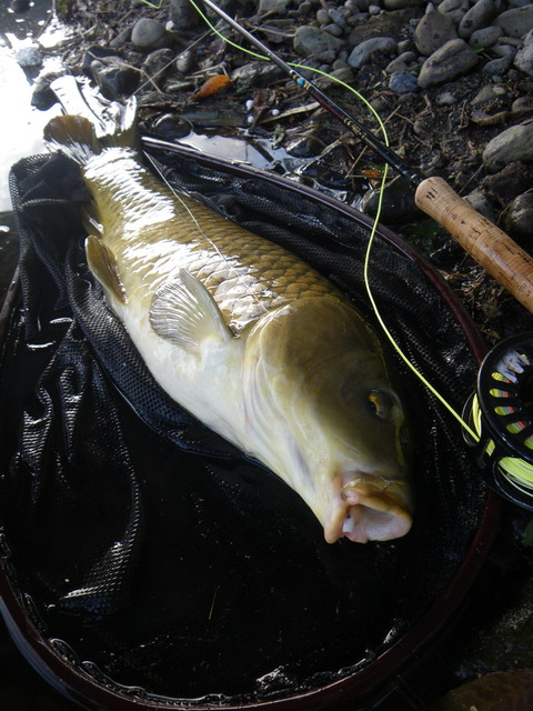 c0202727_21421261.jpg
