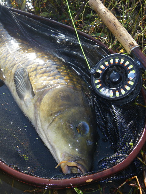 c0202727_2143374.jpg