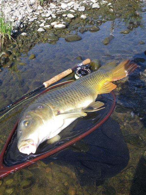 c0202727_2144671.jpg