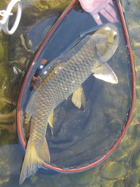 c0202727_21455631.jpg