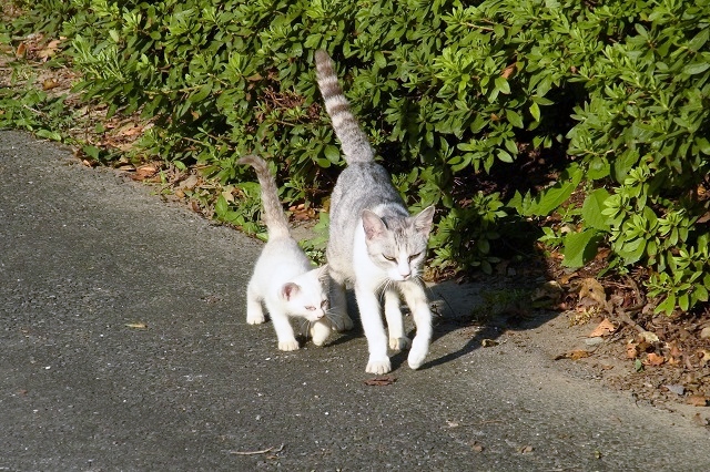 ありがとうございました _f0214527_1053643.jpg