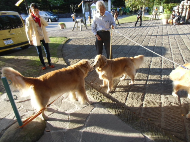 f0114128_1872754.jpg