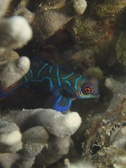 13.10.14 荒れ気味、体育の日連休_b0100730_20465426.jpg