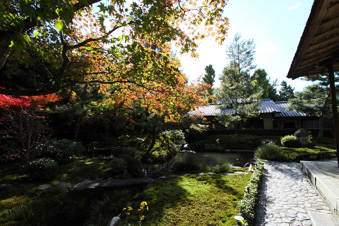 紅葉の南禅寺・哲学の路 －南禅寺順正－_b0169330_858840.jpg