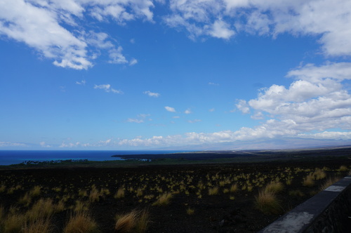 f0045530_05508.jpg